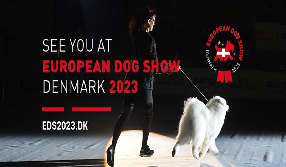 Watch!! European Dog Show in Denmark 2023 Live Stream