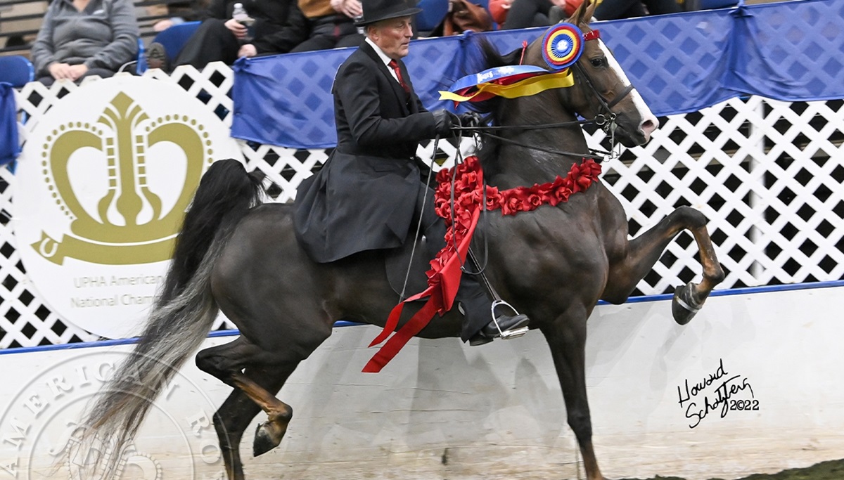 Watch!! UPHA American Royal National Championship Horse Show 2023 Live